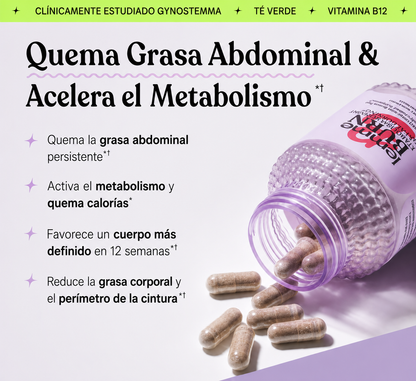 Ingredientes de Lemme Burn: Actiponin® Gynostemma pentaphyllum y extracto de té verde
